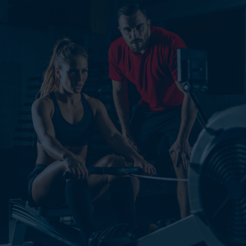 muscle growth supplements