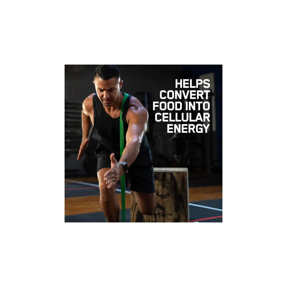 Cellular Energy