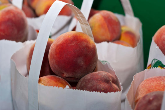 The-Health-Benefits-of-Eating-Seasonal-Fruits-and-Vegetables Druvn