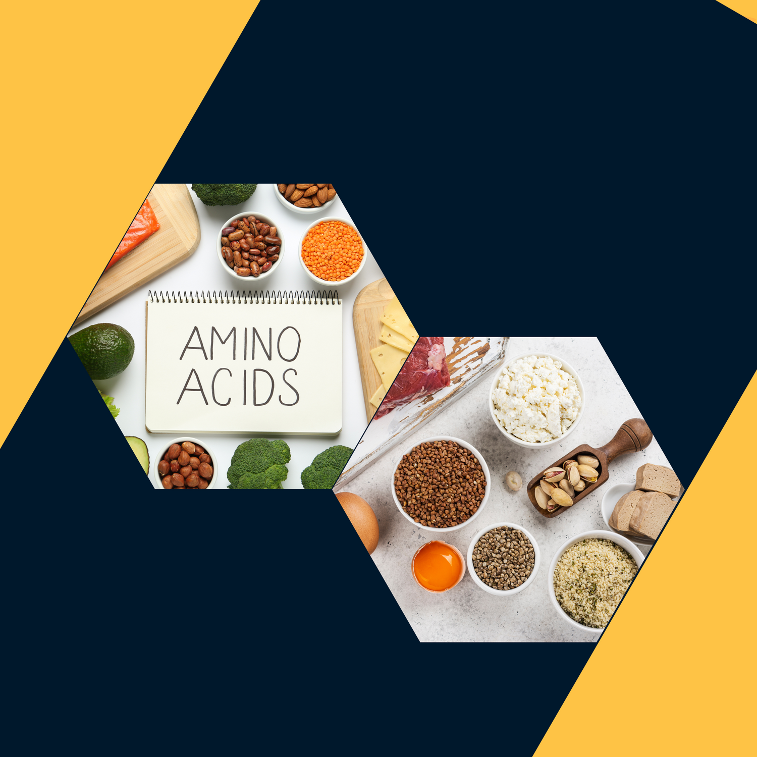 Amino & Recovery