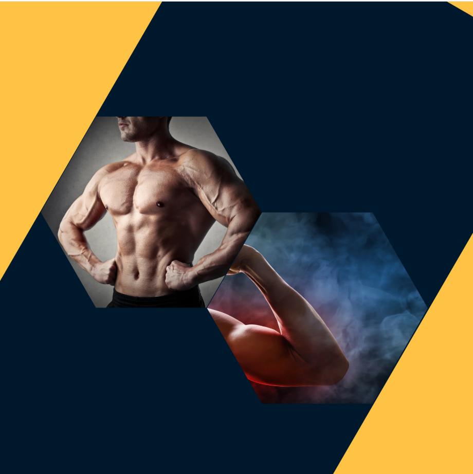 Muscle Growth Supplements