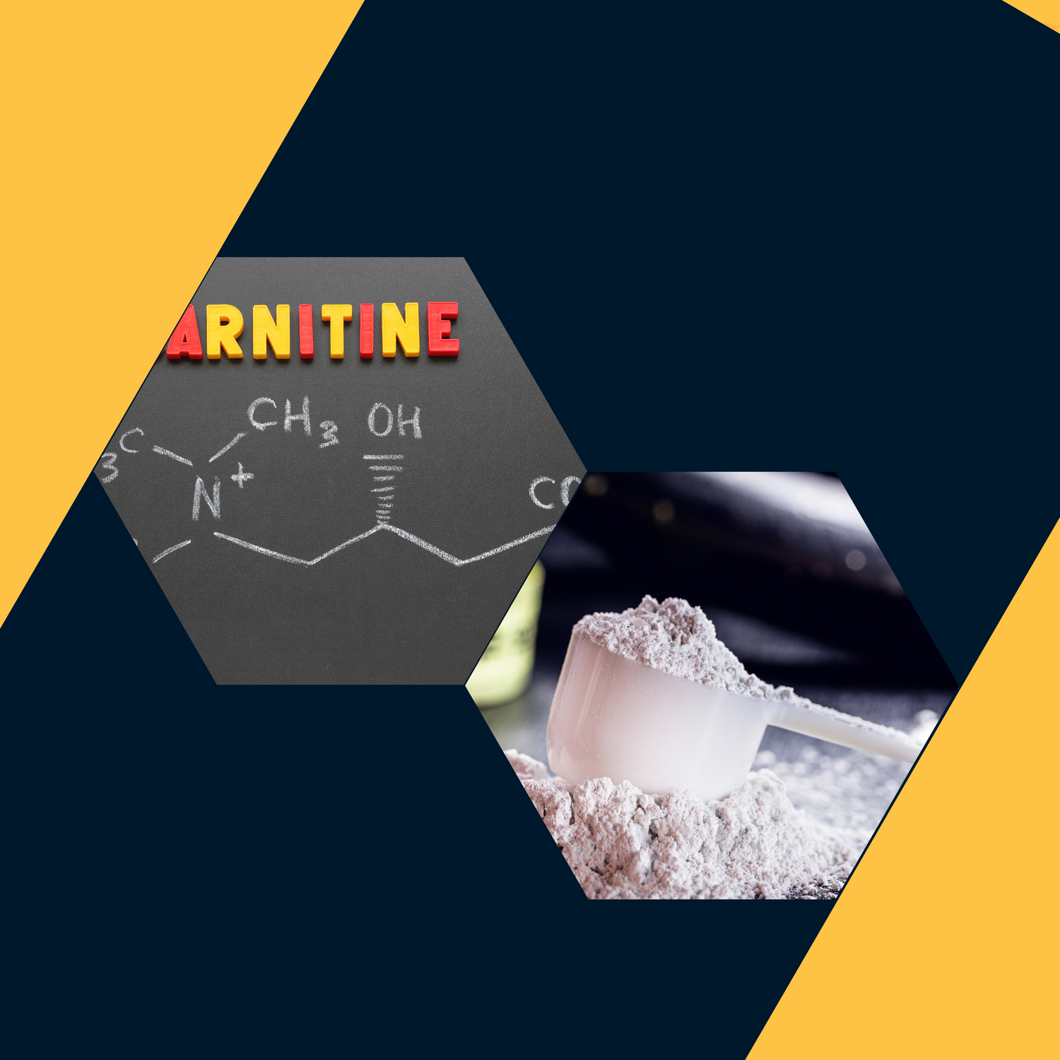 Carnitine