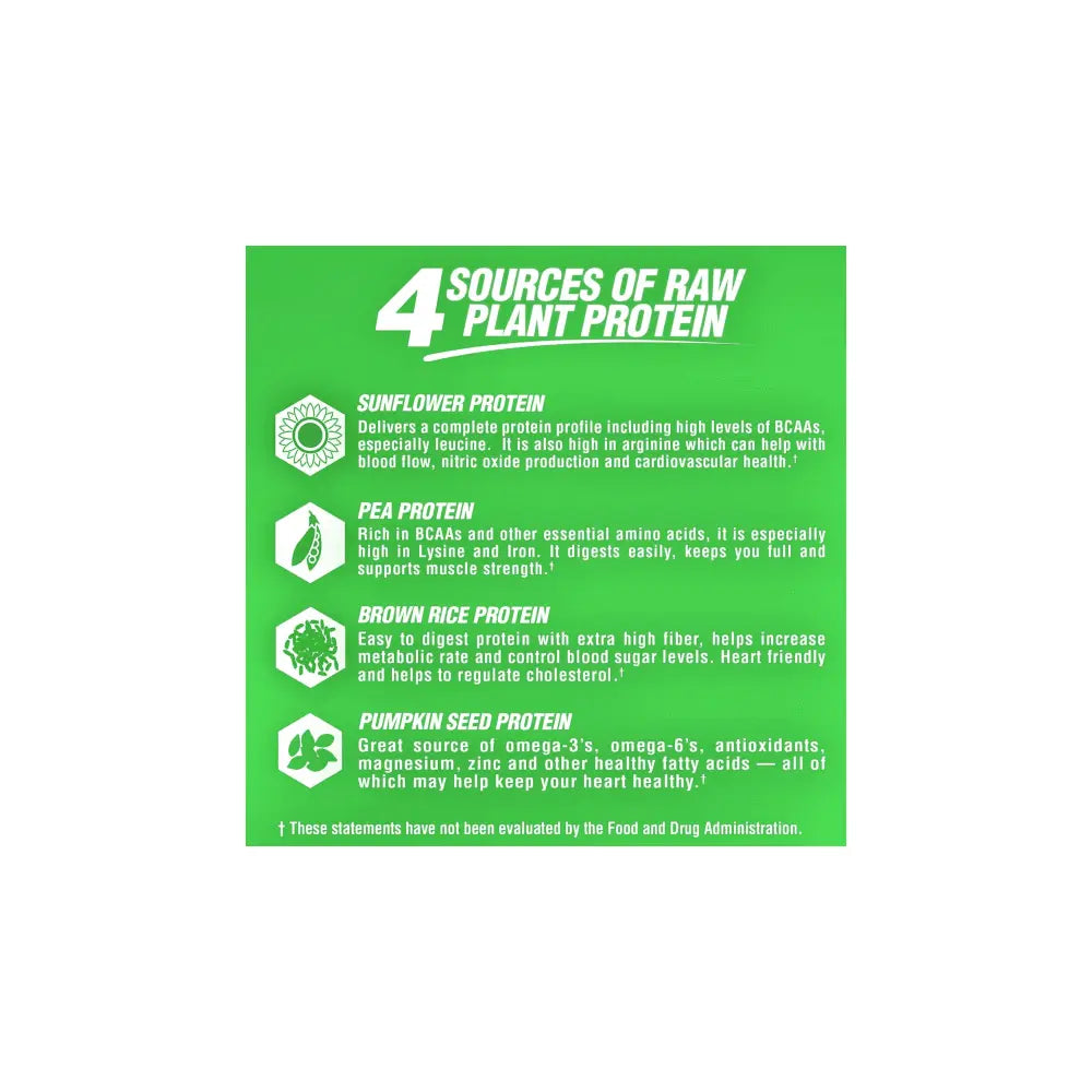 Nutrex Natural Series Plant Protein | Vegan-Friendly Performance Supplement - Druvn
