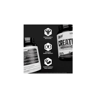 muscle growth supplement
